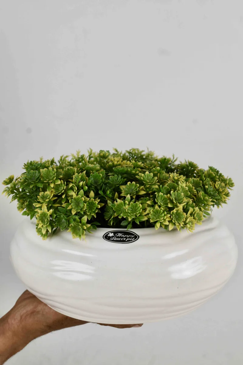 Classic Ceramic Planter — 4" Dia × 4" Height — Primary View