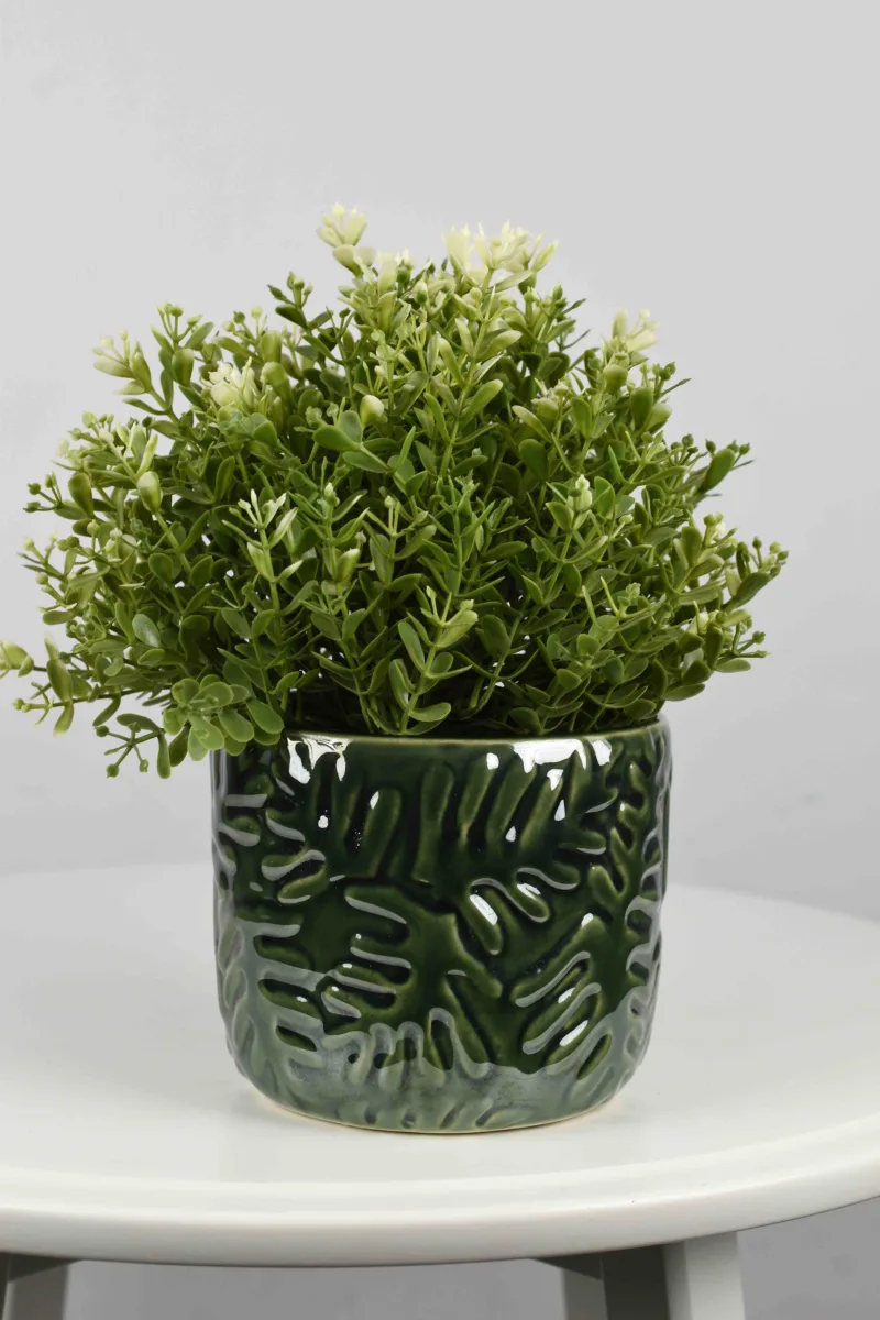 Classic Ceramic Planter — 5" Dia × 4" Height — Primary View