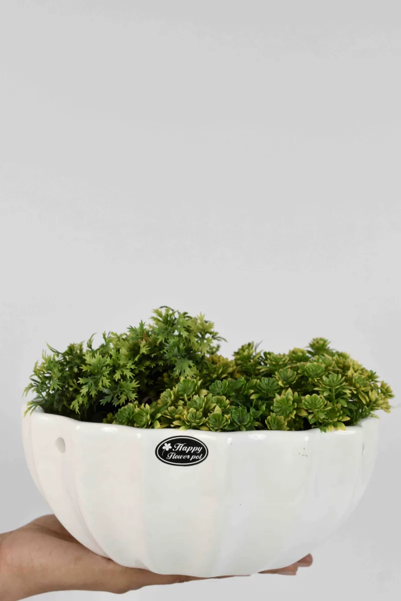 Classic Ceramic Planter — 4" Dia × 5" Height — Primary View