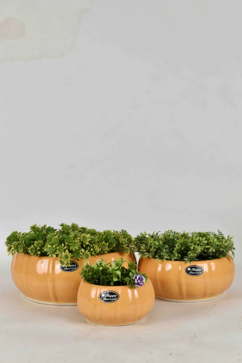 Classic Ceramic Planter — 5" Dia × 4" Height — Primary View