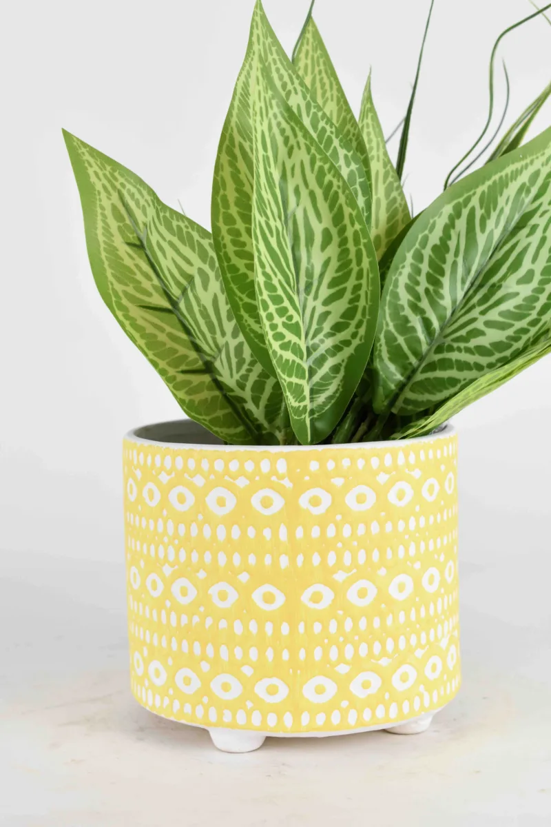 Classic Ceramic Planter — 5" Dia × 4" Height — Primary View