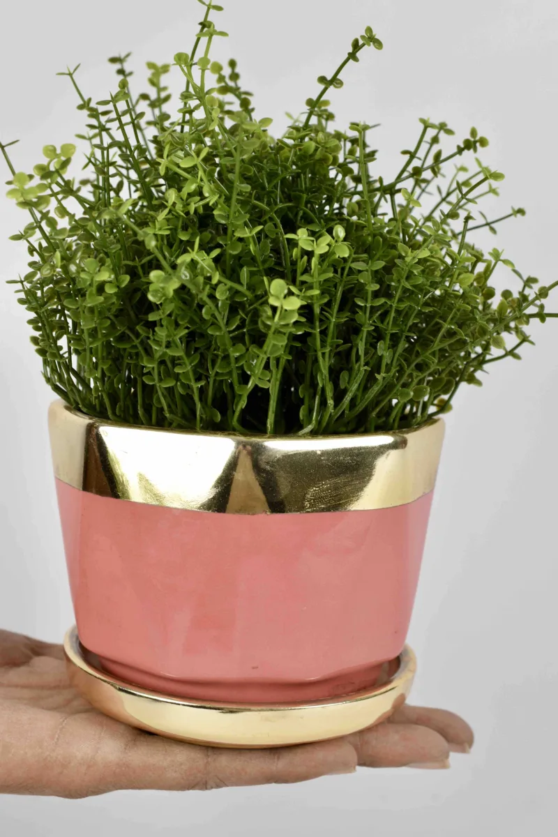 Classic Ceramic Planter — 5" Dia × 4" Height — Primary View