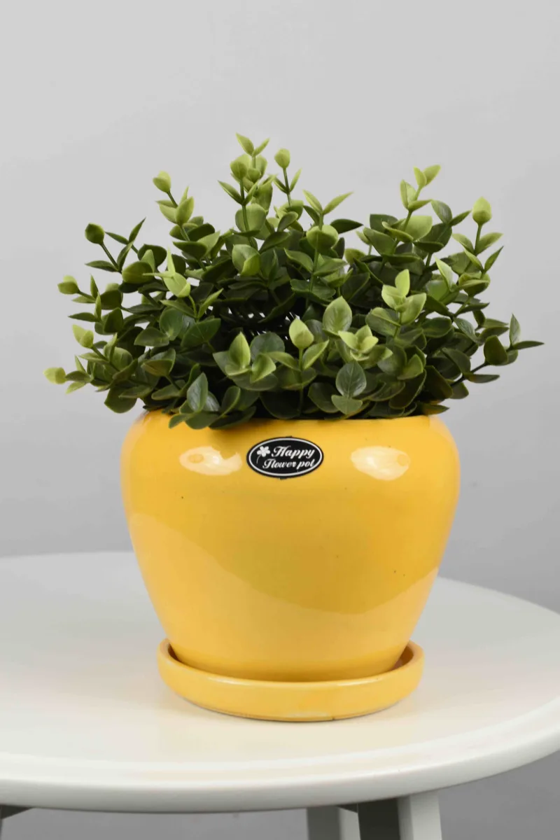 Classic Ceramic Planter — 5" Dia × 4" Height — Primary View