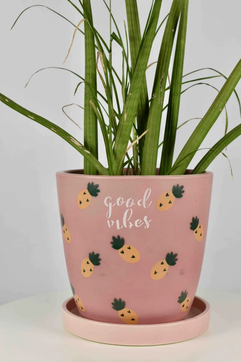 Classic Ceramic Planter — 6" Dia × 6" Height — Primary View