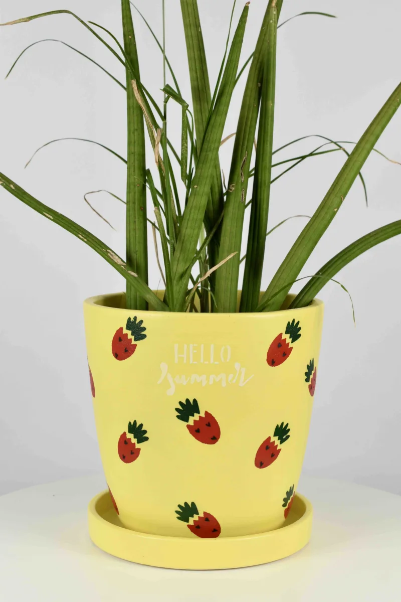 Classic Ceramic Planter — 6.5" Dia × 6.5" Height — Primary View