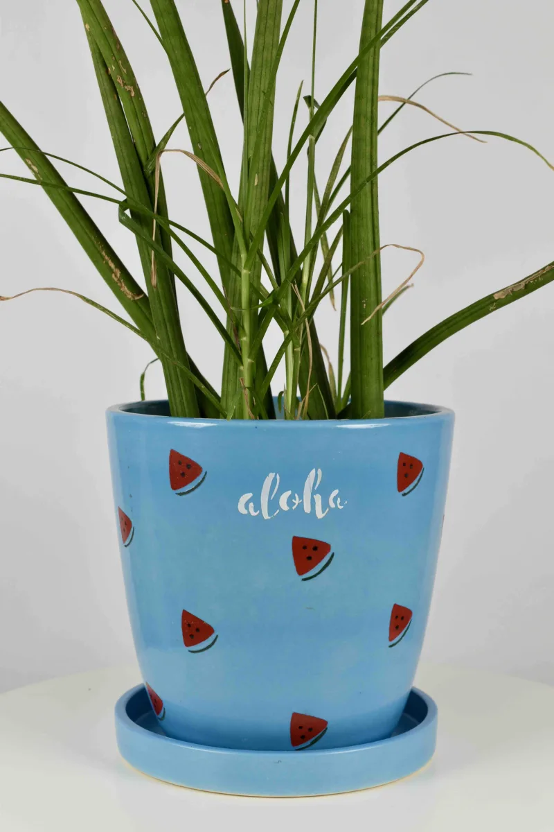 Classic Ceramic Planter Set of 3 (3" Dia) — Primary View