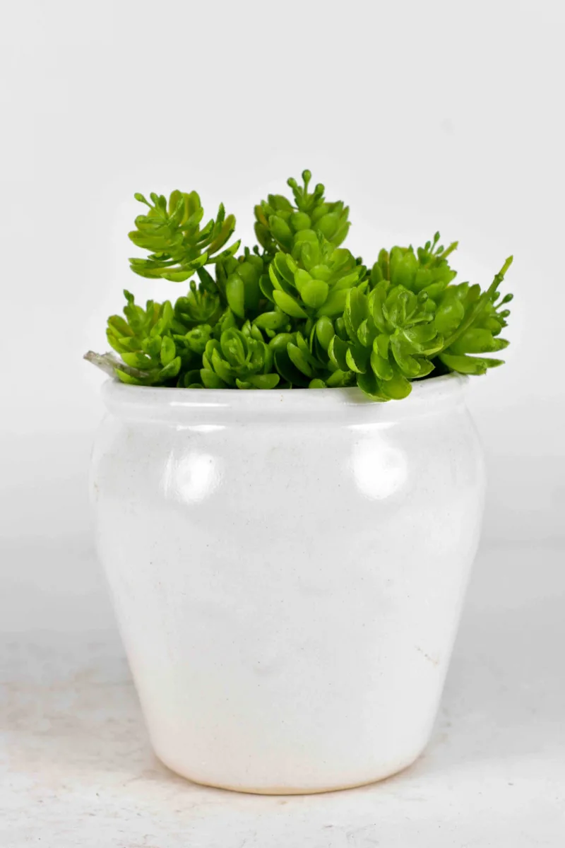 Classic Ceramic Planter — 4" Dia × 3.5" Height — Primary View