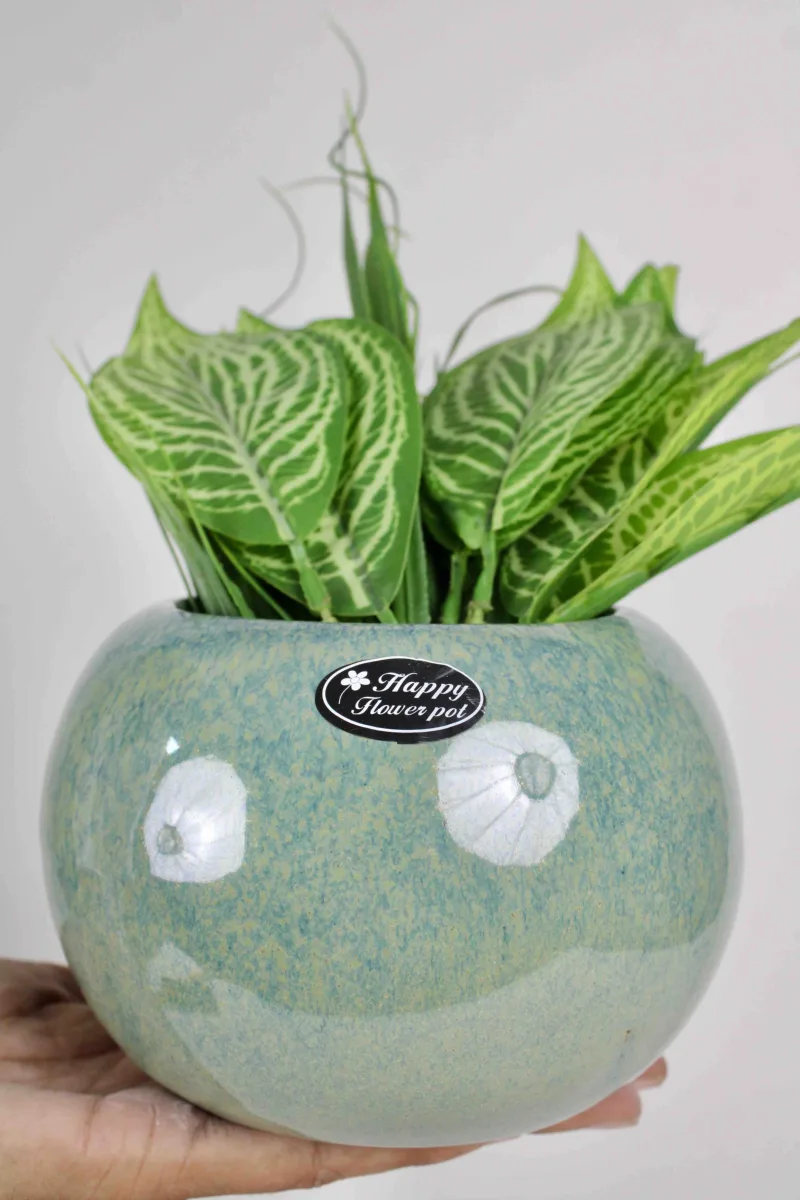 Classic Ceramic Planter — 5.5" Dia × 5.5" Height — Primary View