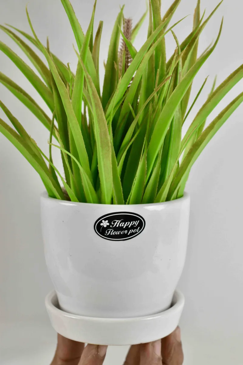 Classic Ceramic Planter — 4" Dia × 3" Height — Primary View