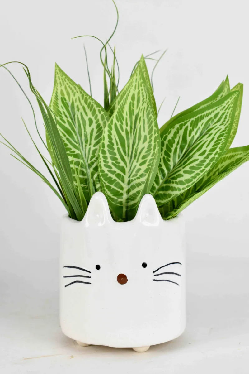 Classic Ceramic Planter — 5" Dia × 4.5" Height — Primary View