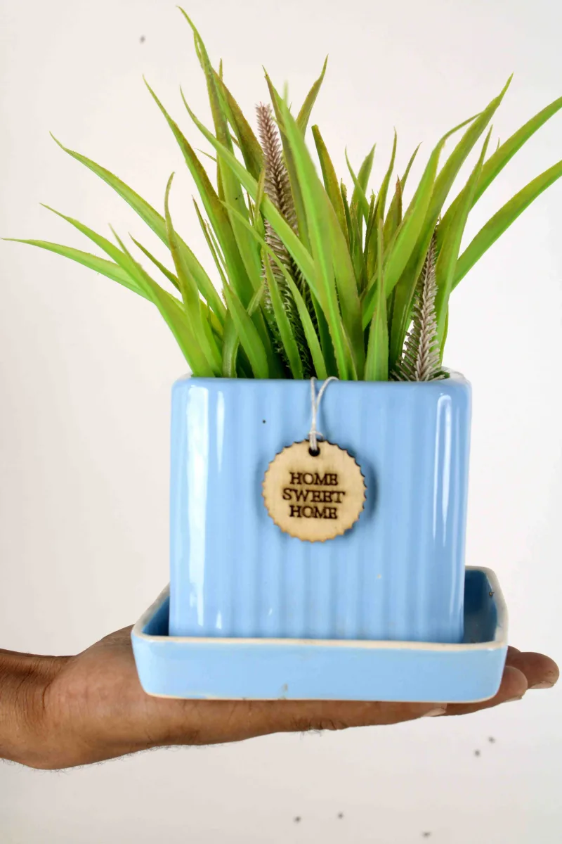 Classic Ceramic Planter — 0.6" Dia × 0.6" Height — Primary View