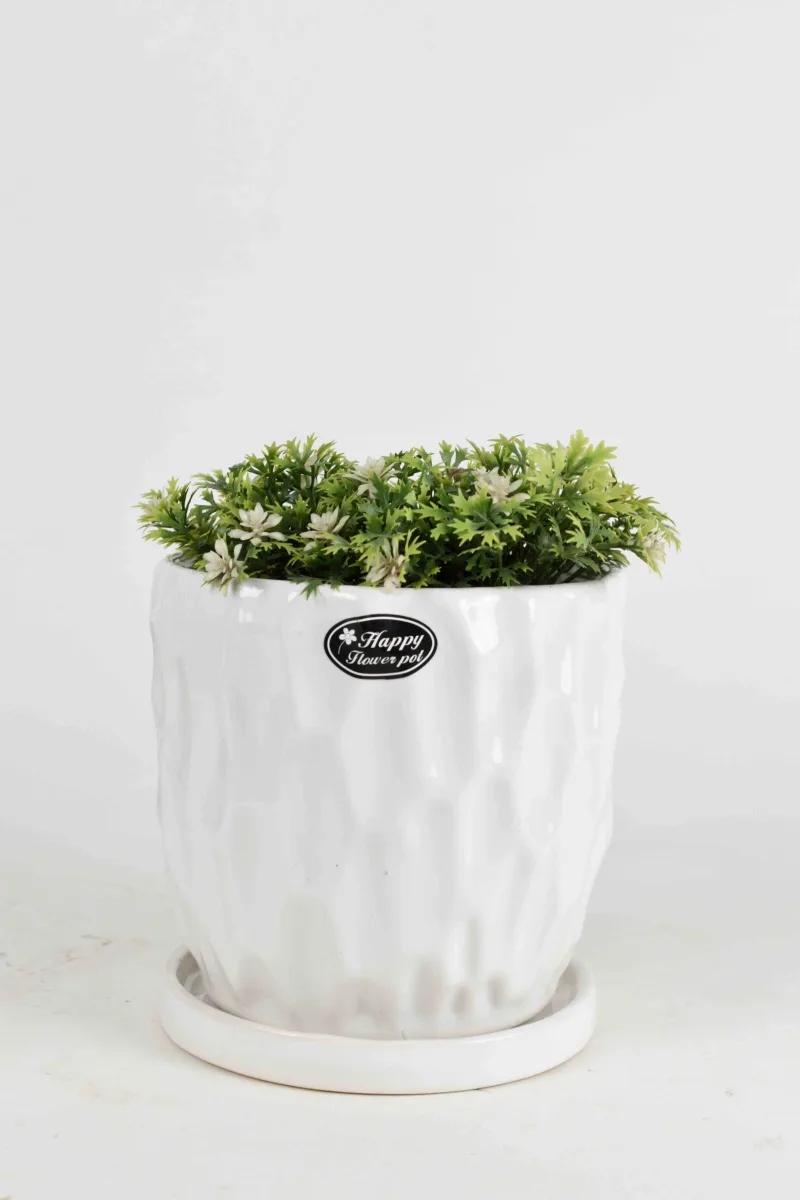 Classic Ceramic Planter — 5.5" Dia × 3.5" Height — Primary View