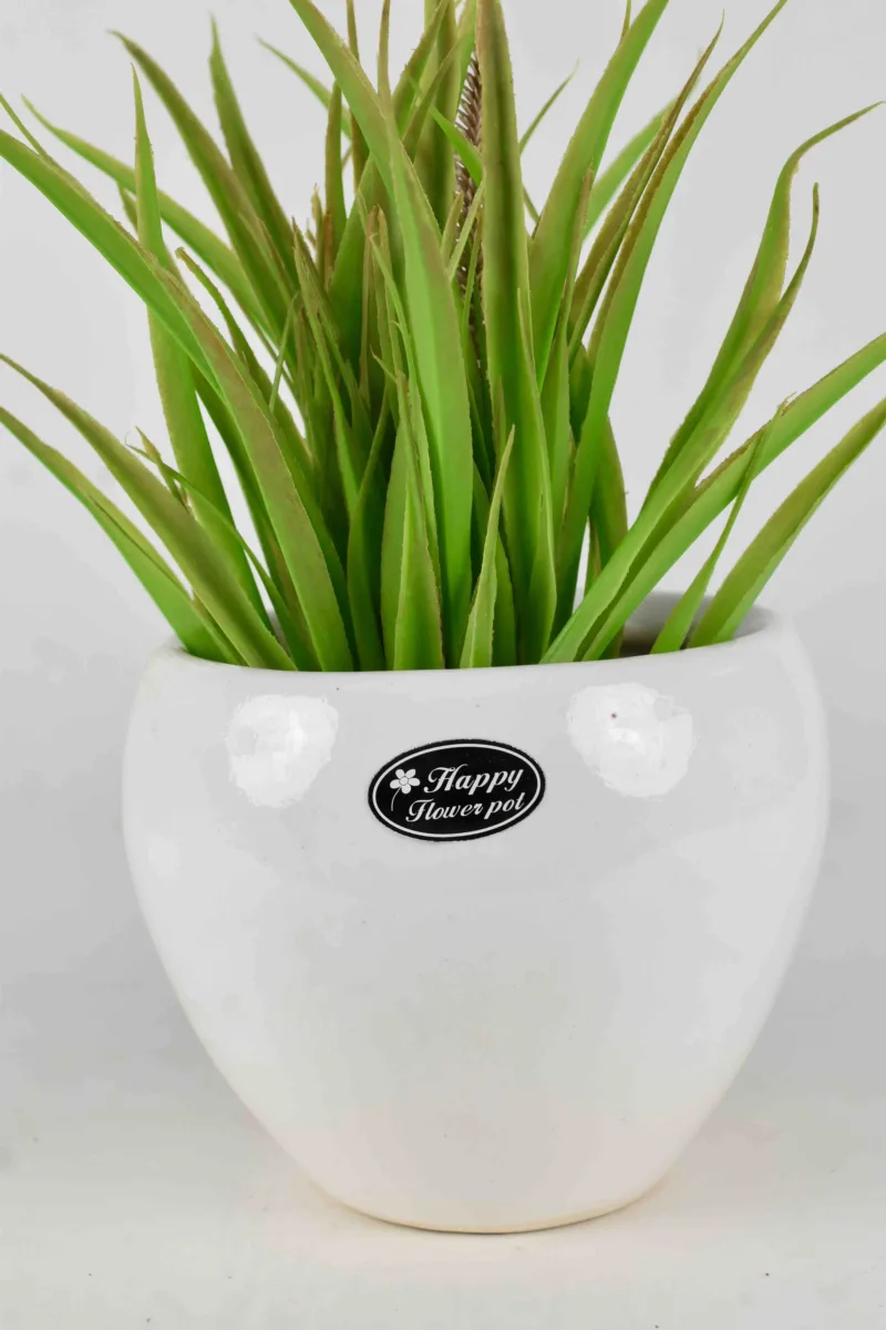 Classic Ceramic Planter — 5" Dia × 4" Height — Primary View