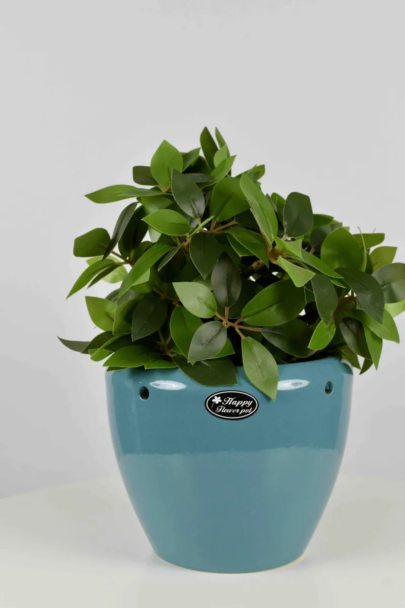 Classic Ceramic Planter — 5" Dia × 4" Height — Primary View