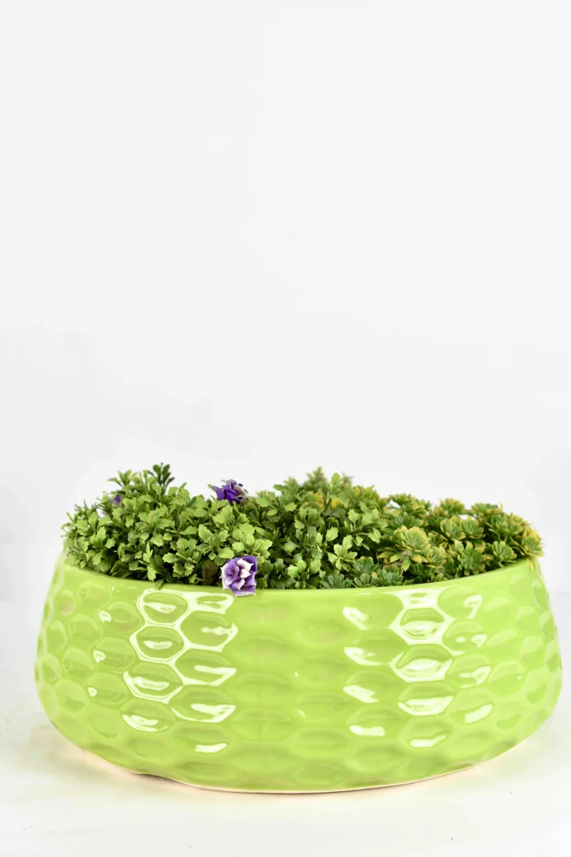 Classic Ceramic Planter — 8.5" Dia × 8" Height — Primary View