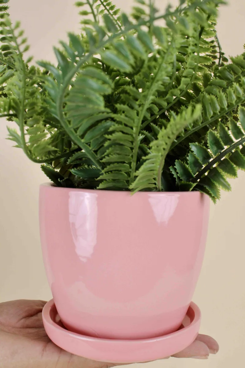 Classic Ceramic Planter Set of 3 (3" Dia) — Primary View