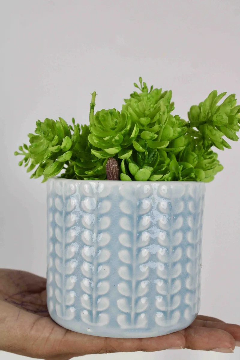 Classic Ceramic Planter — 4" Dia × 3" Height — Primary View