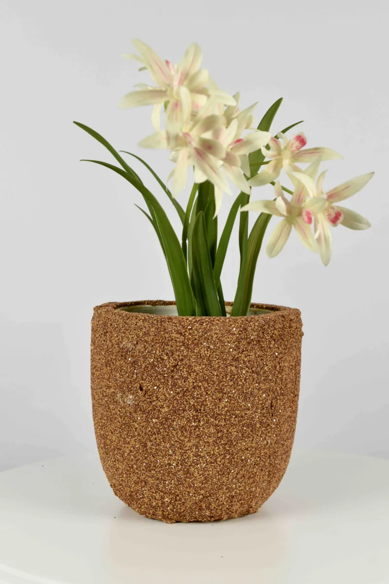 Classic Ceramic Planter — 5" Dia × 5" Height — Primary View