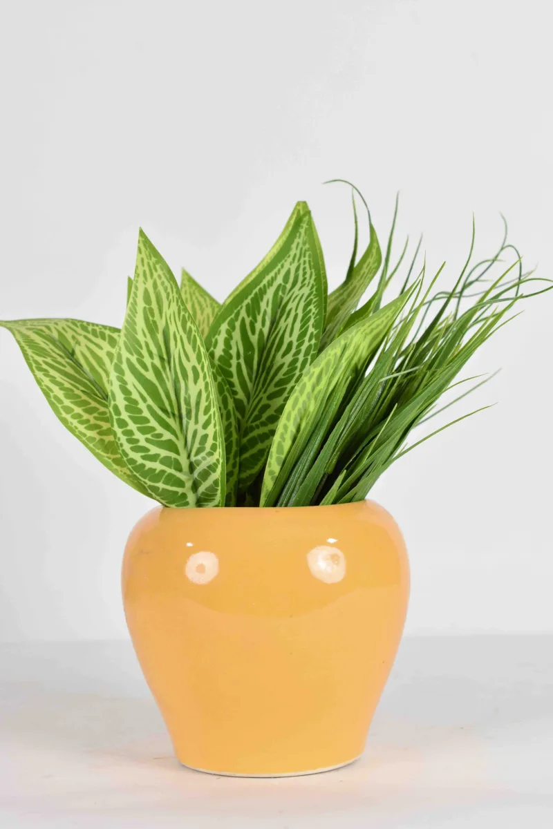 Classic Ceramic Planter — 3.5" Dia × 3" Height — Primary View