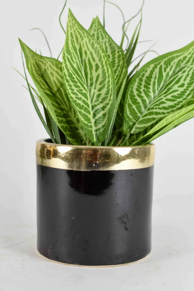 Classic Ceramic Planter Set of 3 (3" Dia) — Primary View