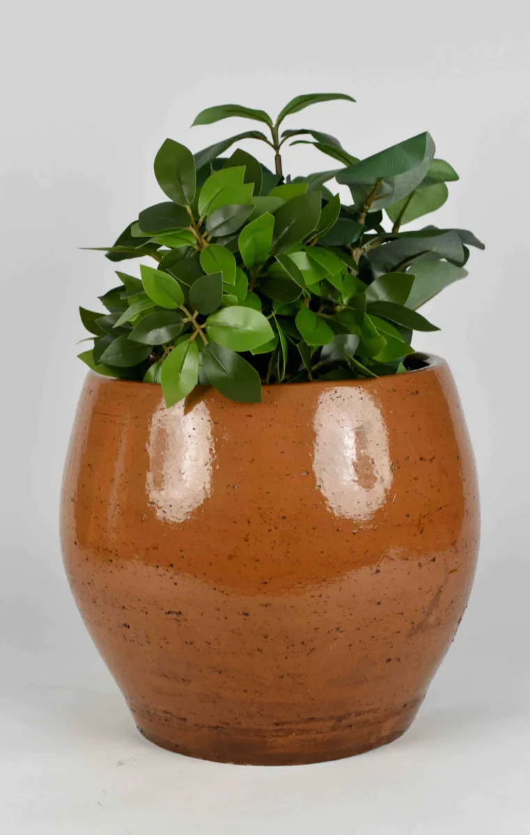 Classic Ceramic Planter — 9" Dia × 4" Height — Primary View