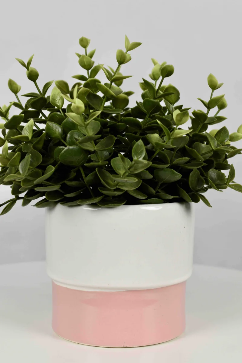 Classic Ceramic Planter Set of 3 (3" Dia) — Primary View