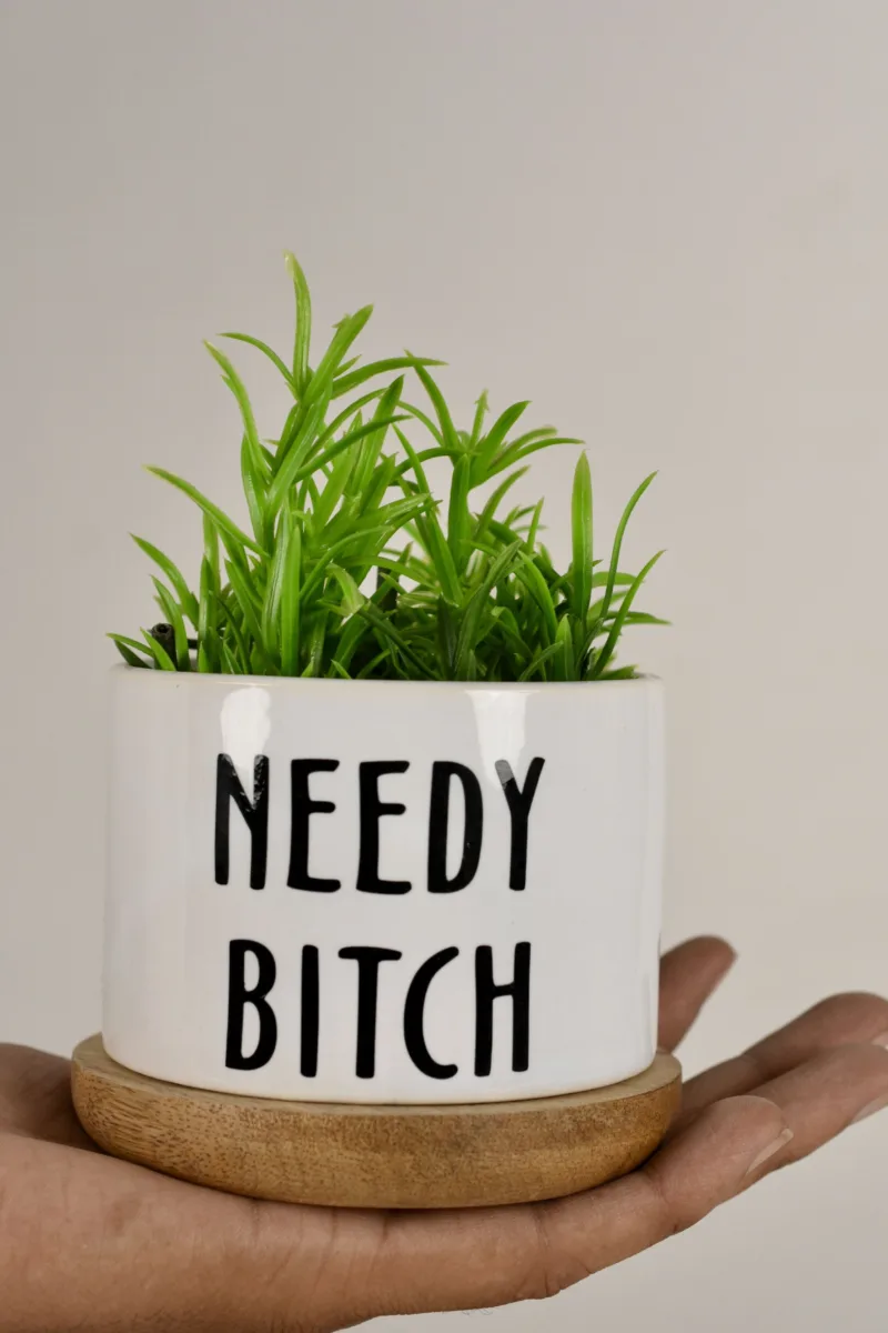 Classic Ceramic Planter — 5.5" Dia × 5" Height — Primary View