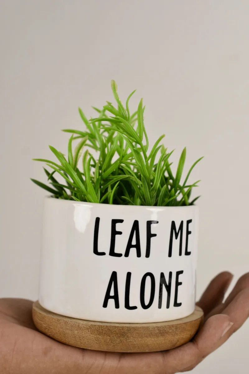 Classic Ceramic Planter — 4" Dia × 4" Height — Primary View