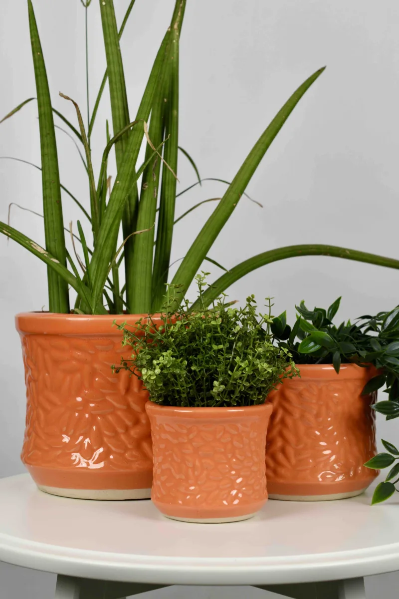 Classic Ceramic Planter — 5" Dia × 5.5" Height — Primary View