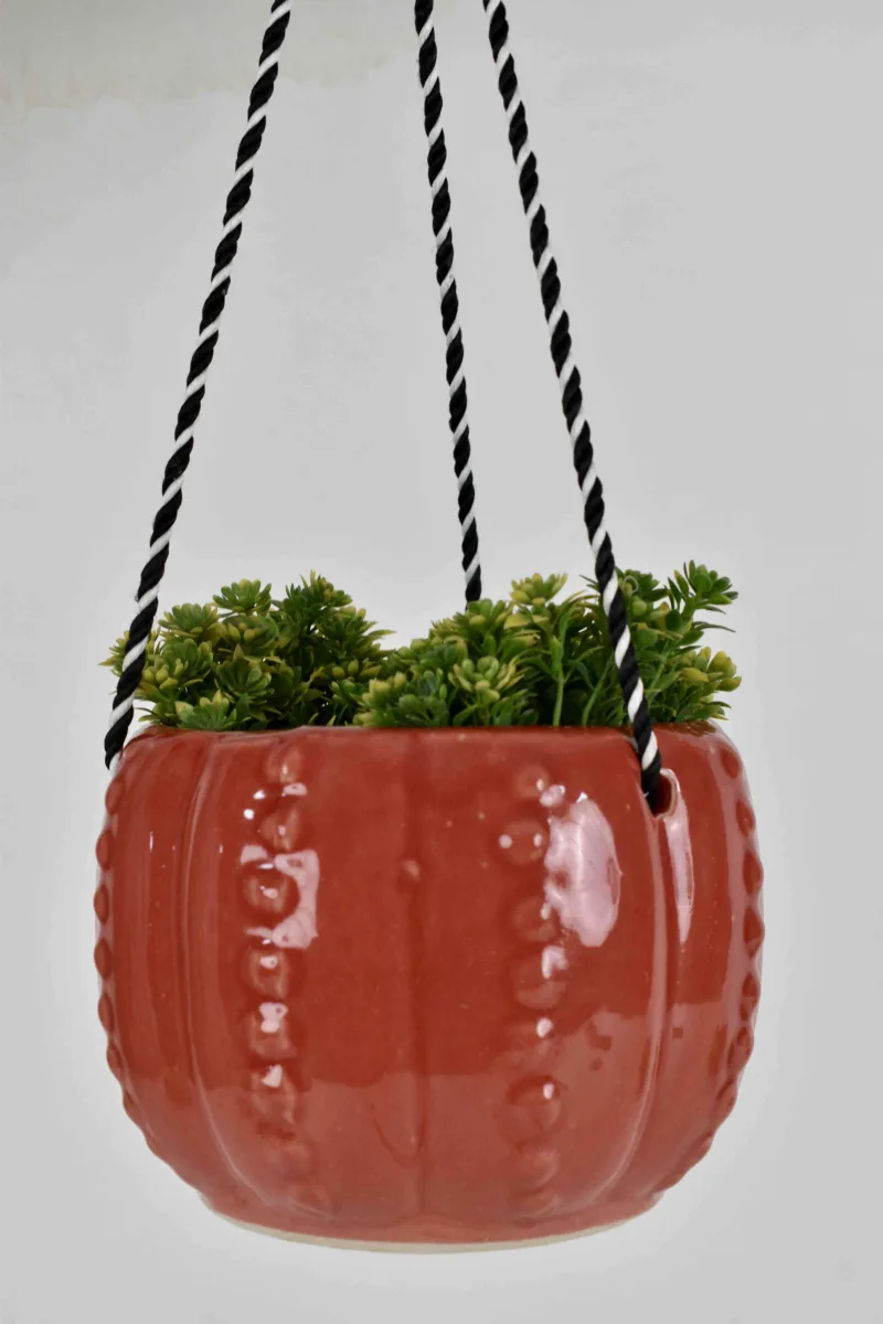 Classic Ceramic Planter — 12" Dia × 3.5" Height — Primary View