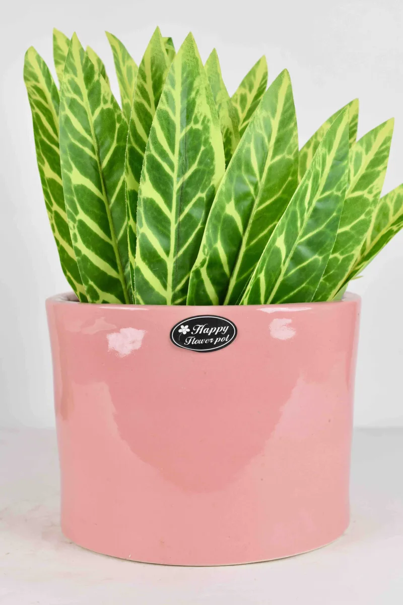 Classic Ceramic Planter — 7.5" Dia × 5" Height — Primary View