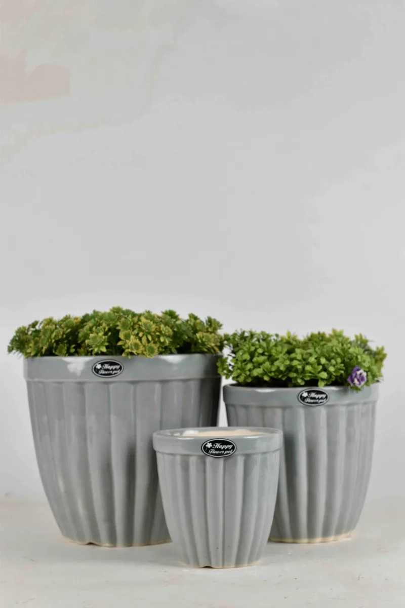 Classic Ceramic Planter — 8" Dia × 8.5" Height — Primary View