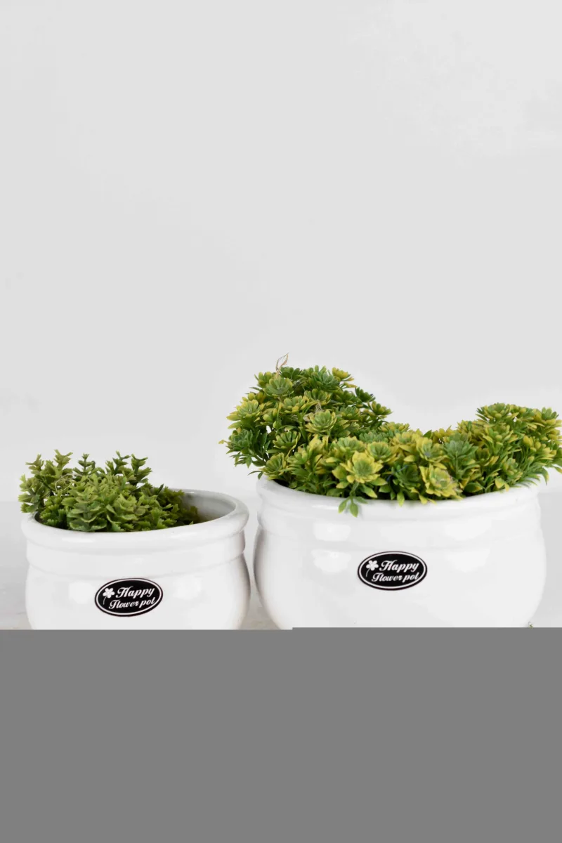 Classic Ceramic Planter — 8" Dia × 8.5" Height — Primary View