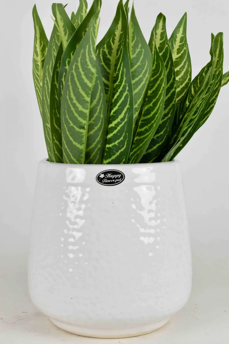 Classic Ceramic Planter — Primary View