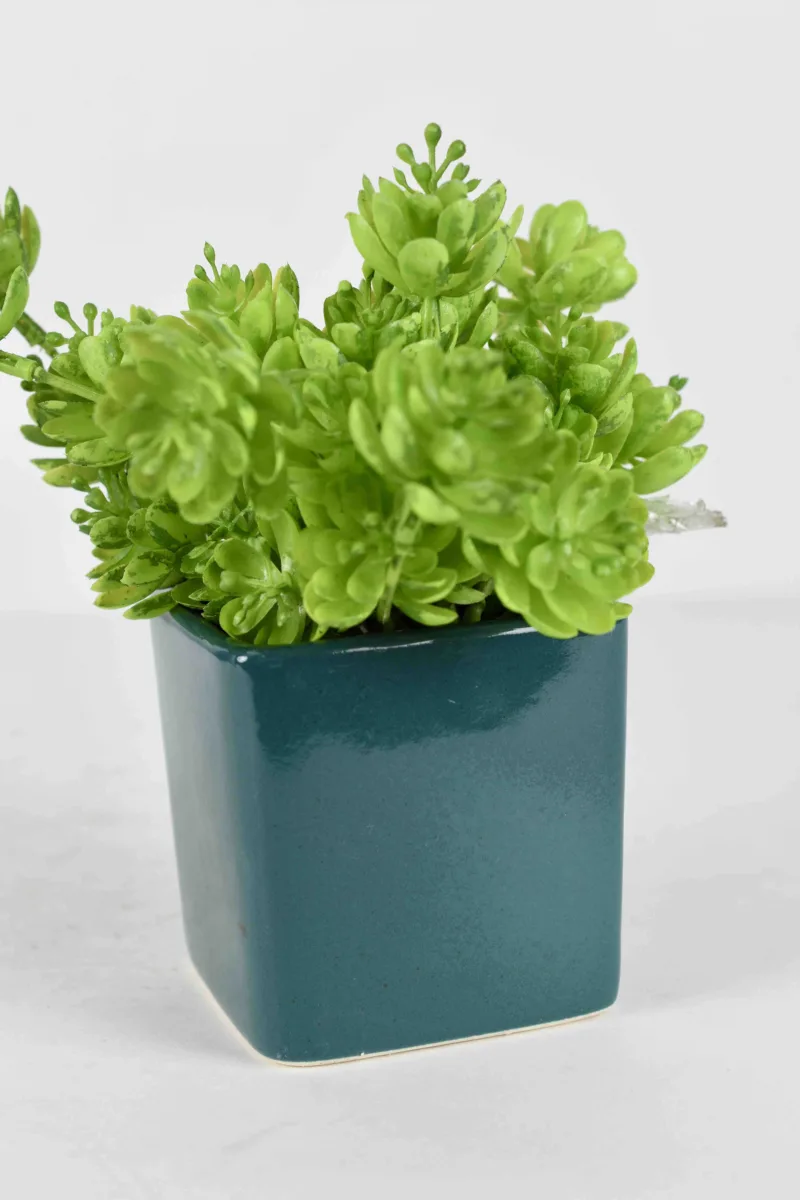 Classic Ceramic Planter — 6" Dia × 5" Height — Primary View