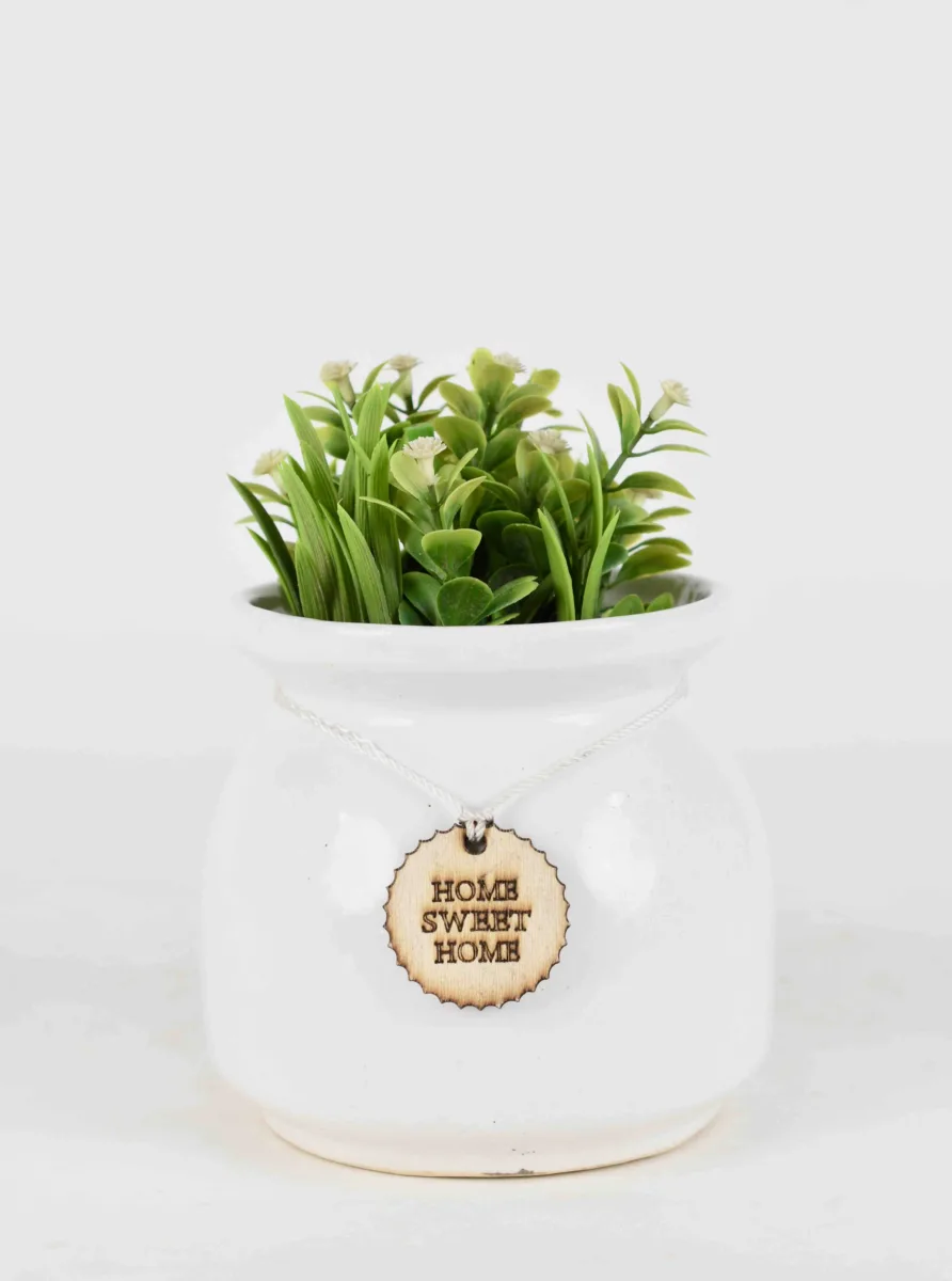 Classic Ceramic Planter — 5" Dia × 4.5" Height — Primary View