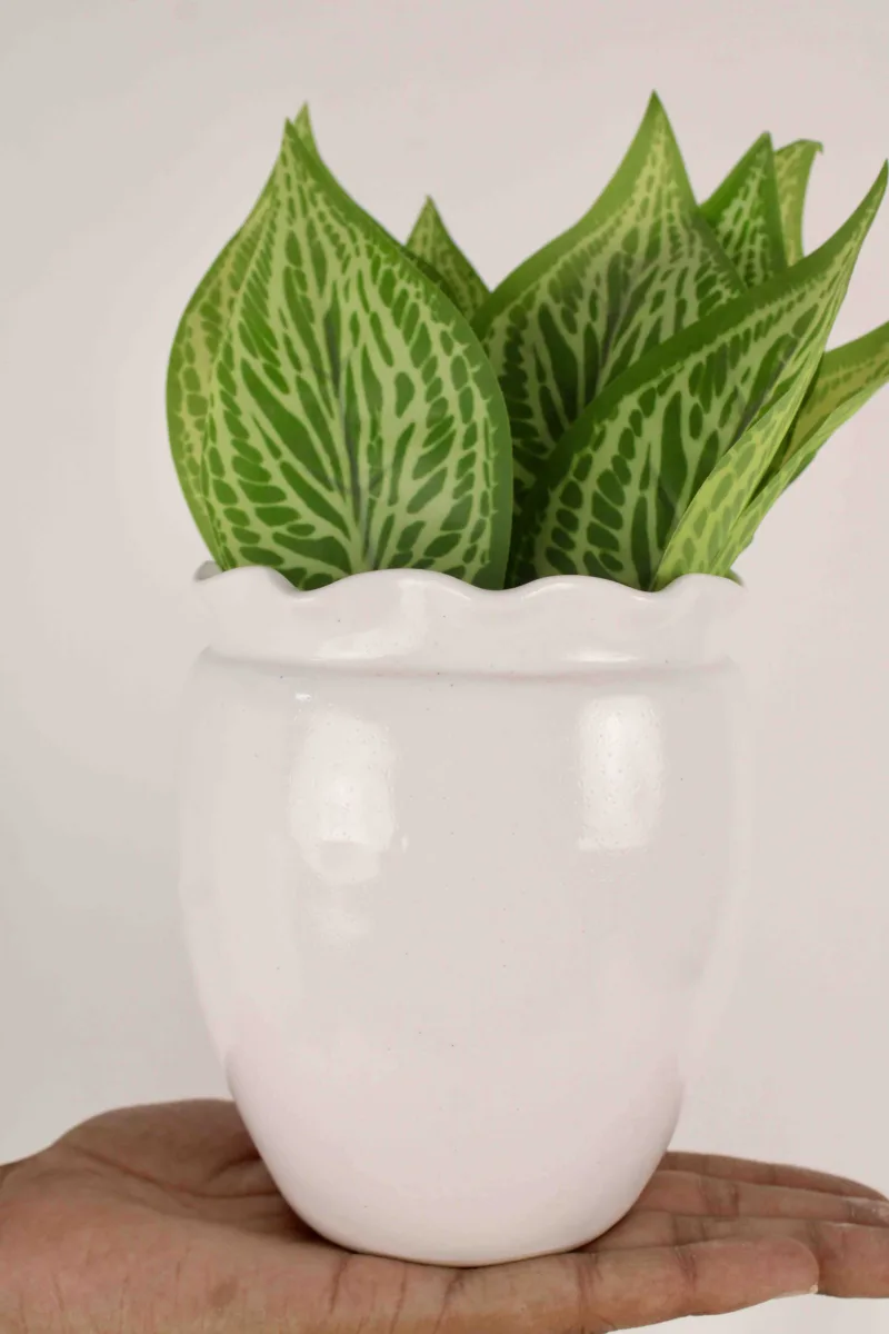 Classic Ceramic Planter — 10" Dia × 10" Height — Primary View