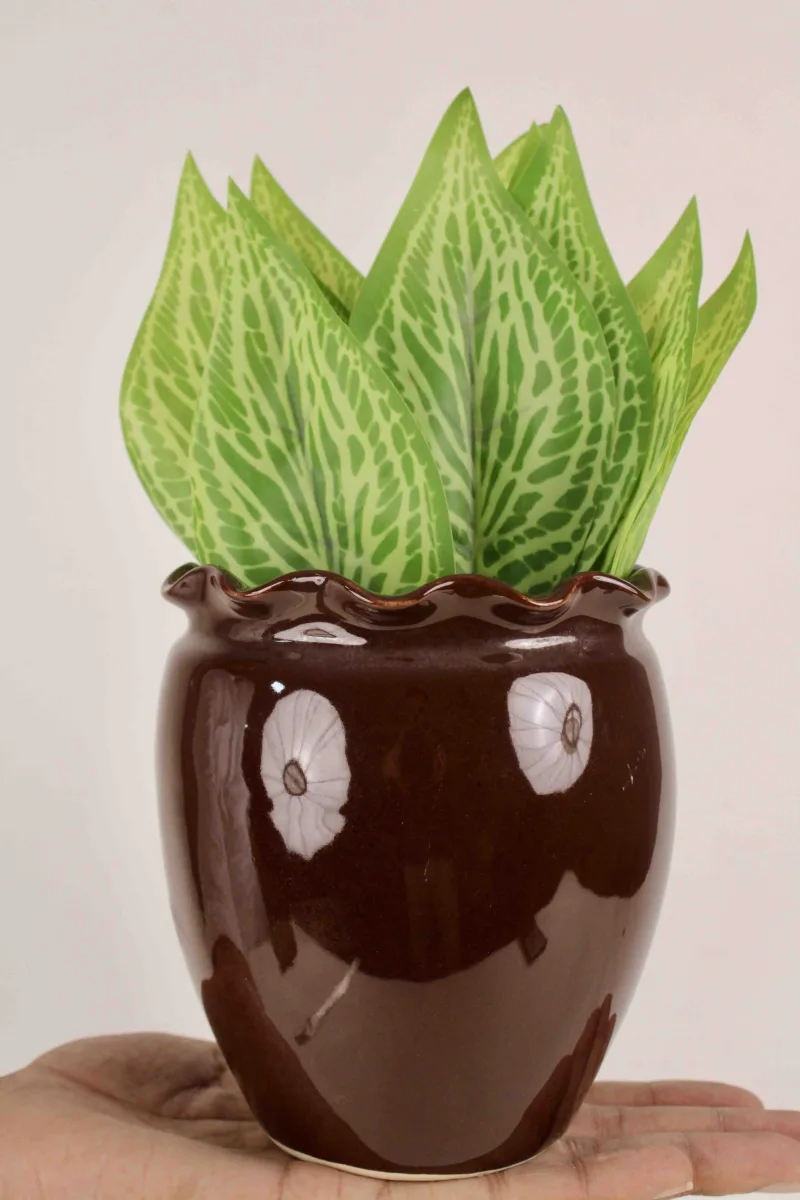 Classic Ceramic Planter — 6.5" Dia × 4.5" Height — Primary View