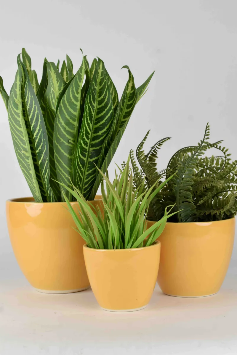 Classic Ceramic Planter — 4.5" Dia × 5.5" Height — Primary View