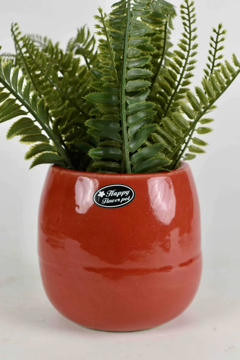 Classic Ceramic Planter — 8" Dia × 5.5" Height — Primary View