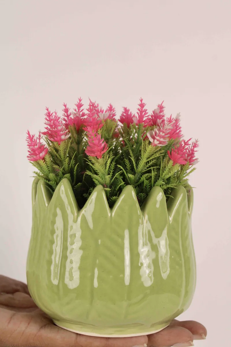 Classic Ceramic Planter — 12" Dia × 3" Height — Primary View