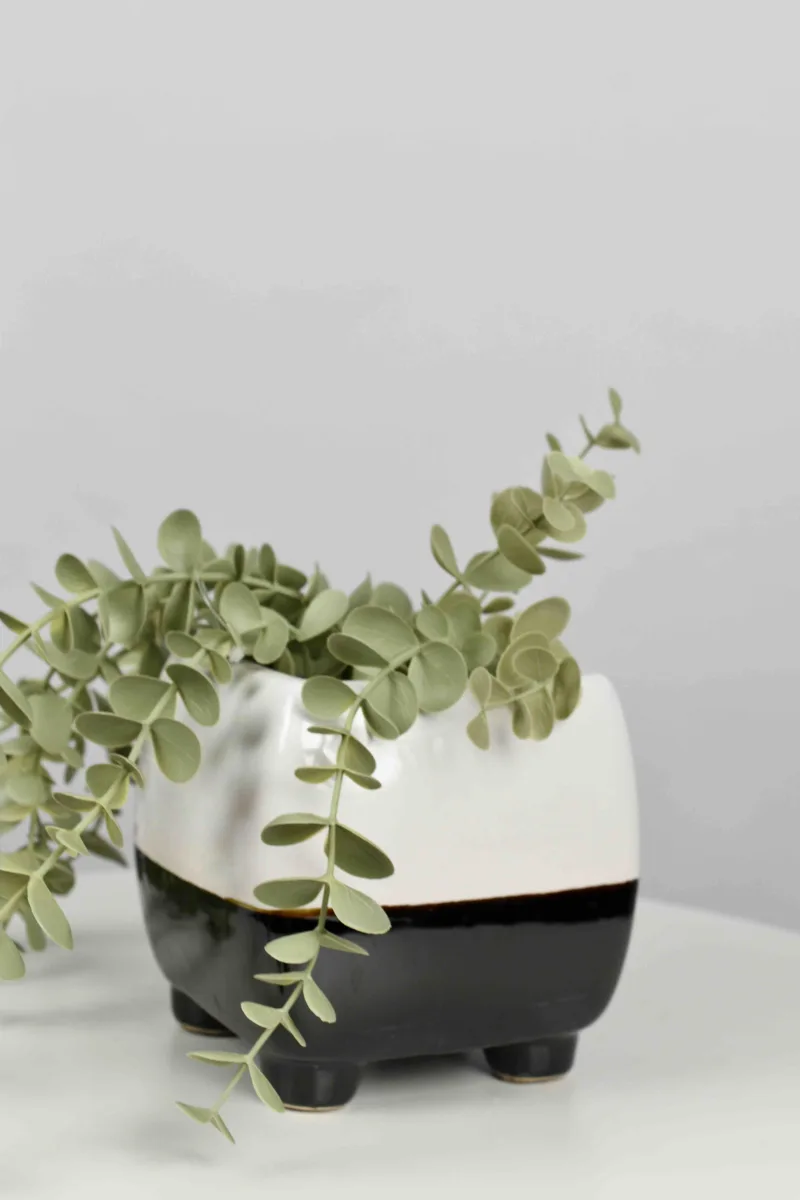 Classic Ceramic Planter — 5" Dia — Primary View