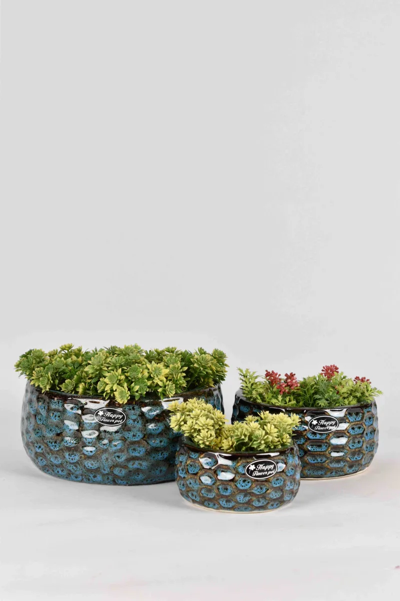 Classic Ceramic Planter — 5.5" Dia × 5" Height — Primary View