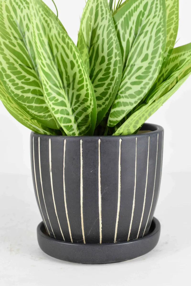 Classic Ceramic Planter — 8" Dia × 9" Height — Primary View