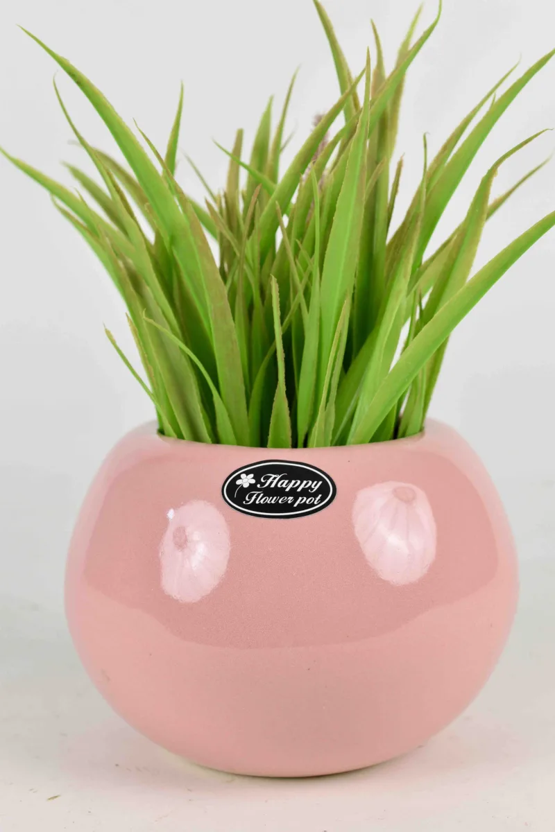 Classic Ceramic Planter — 4" Dia × 4.5" Height — Primary View