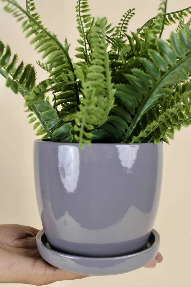 Classic Ceramic Planter — 5.5" Dia × 6" Height — Primary View