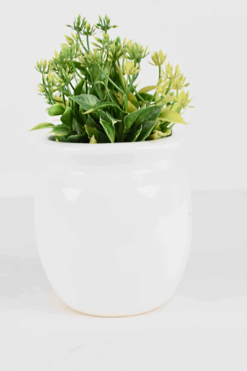 Classic Ceramic Planter Set of 2 (2" Dia) — Primary View