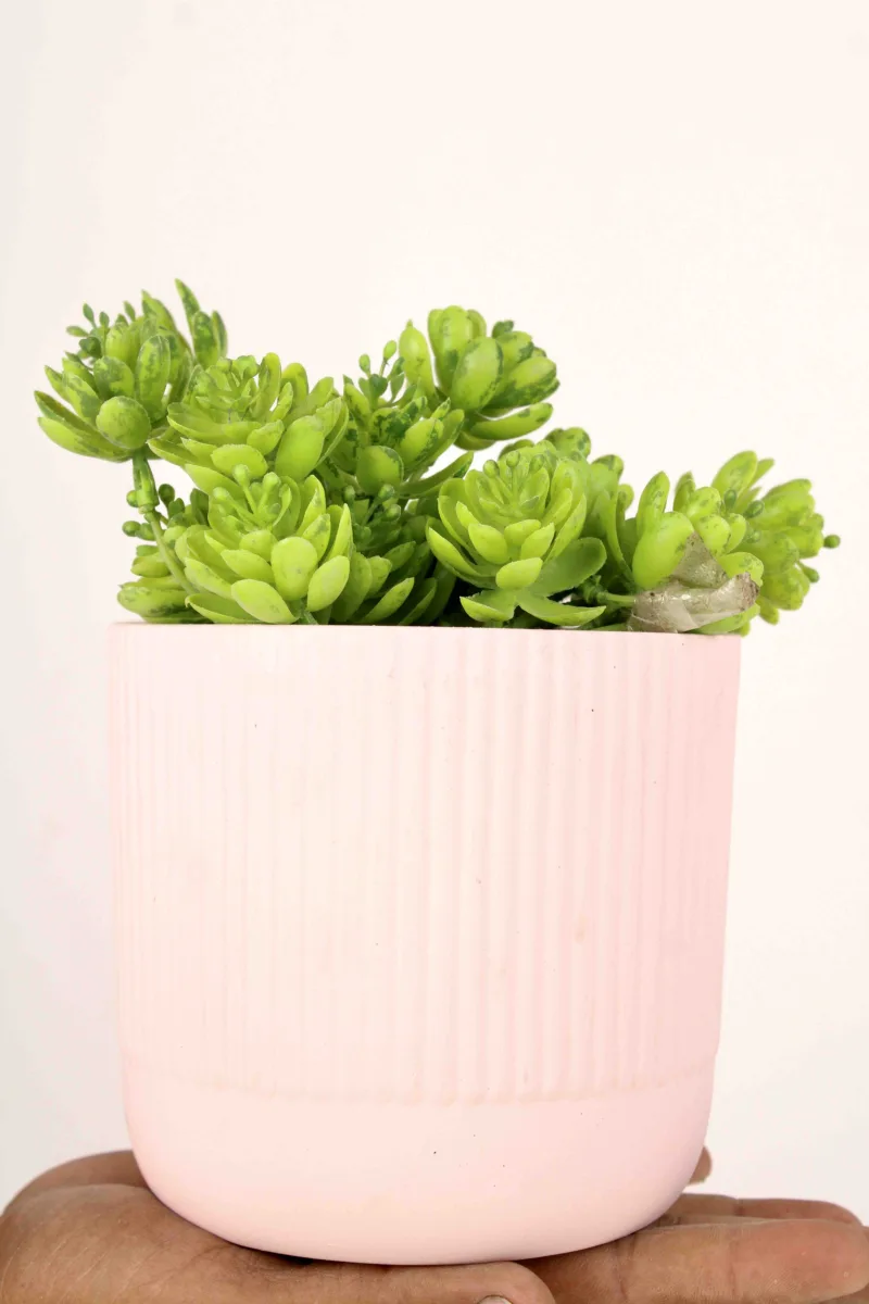 Classic Ceramic Planter — 10" Dia × 10" Height — Primary View