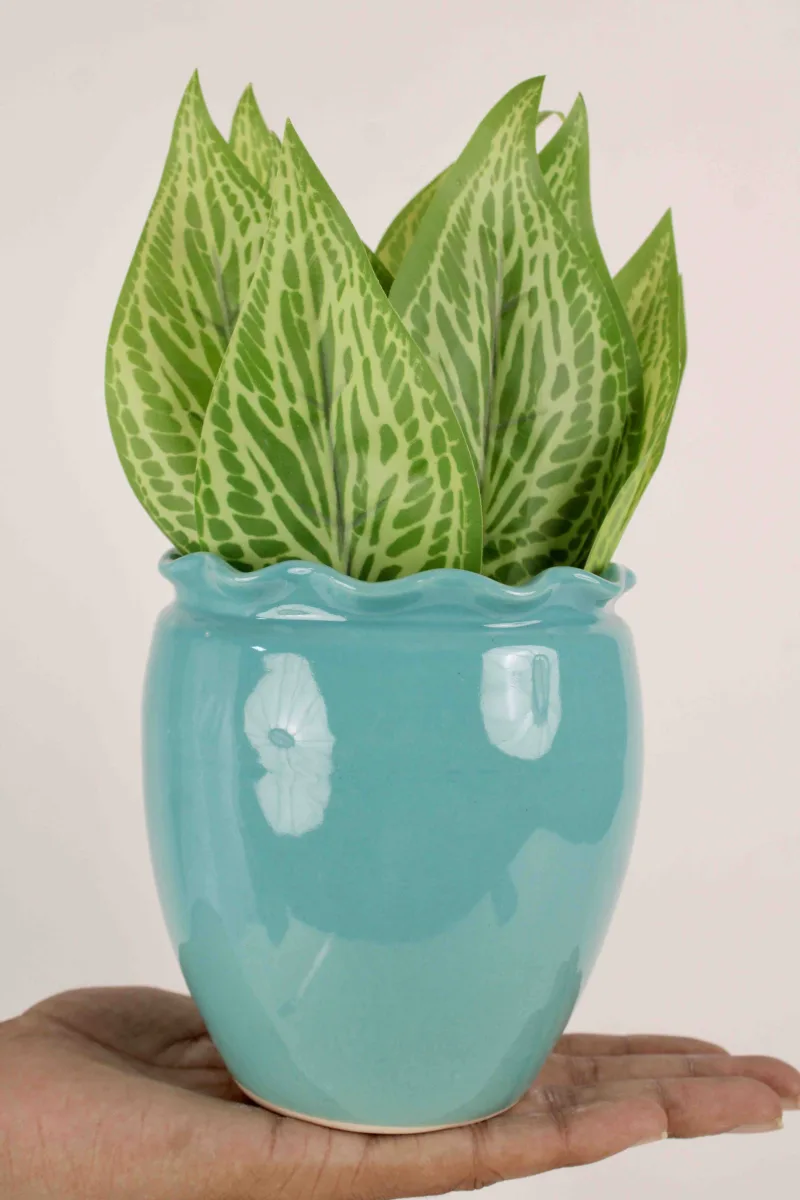 Classic Ceramic Planter — 4" Dia × 4" Height — Primary View