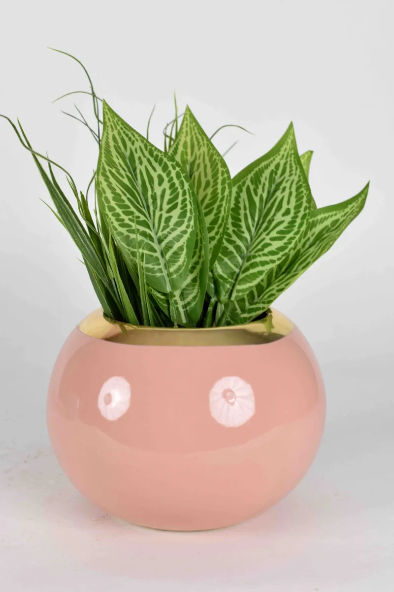 Classic Ceramic Planter Set of 2 (2" Dia) — Primary View